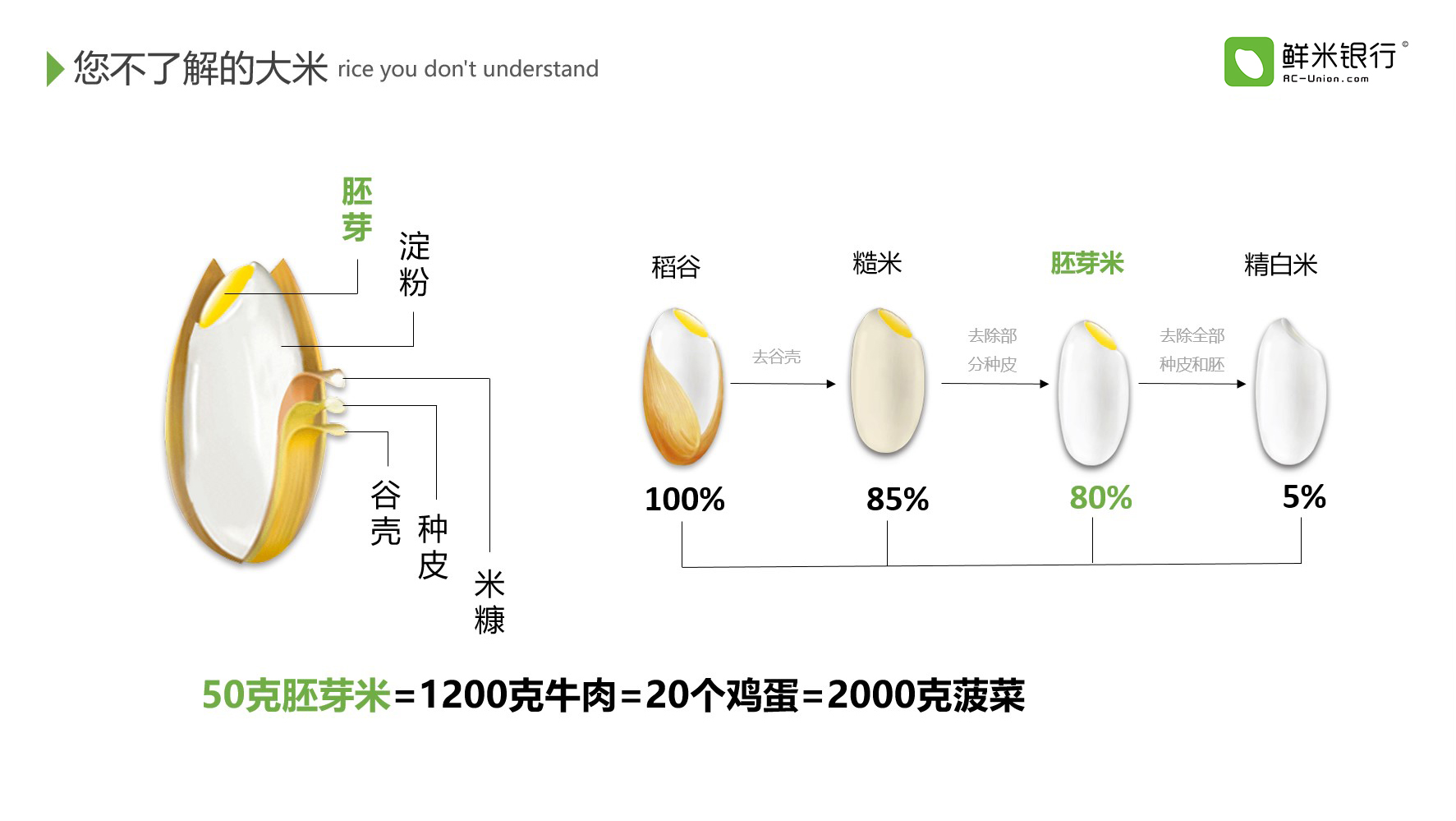 胚芽米對比圖